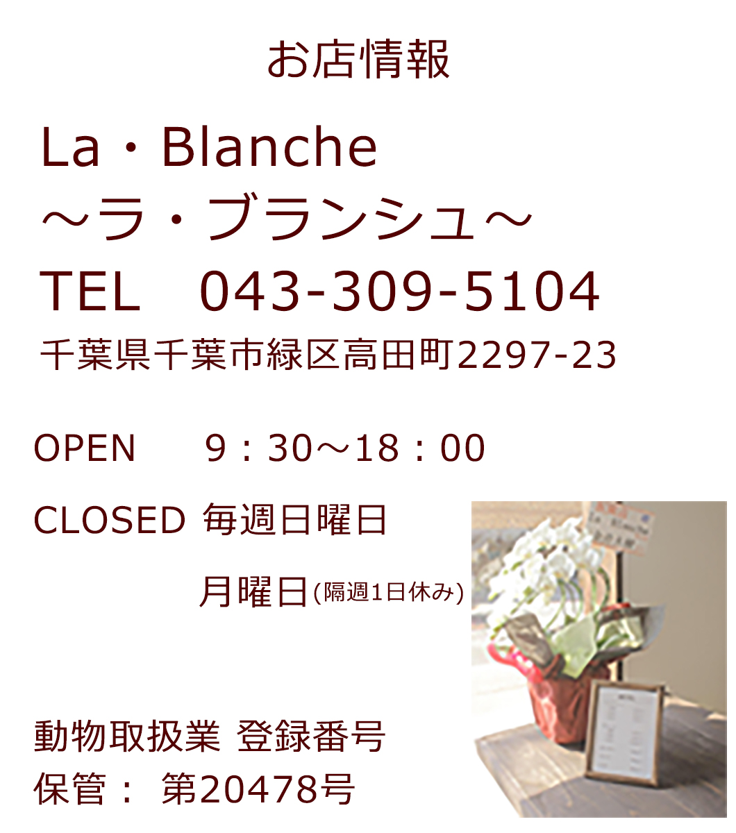 千葉県緑区にあるドッグサロン、ラブランシュのお店情報です